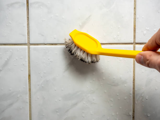 Best Certified Mold Removal  in Highland Heights, OH