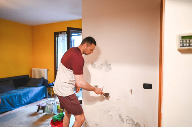 Best Professional Mold Removal  in Highland Heights, OH